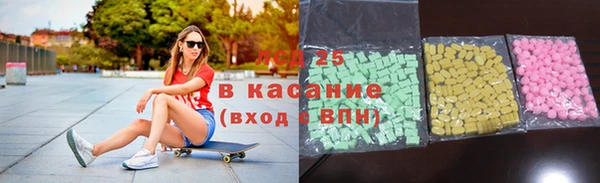 индика Армянск