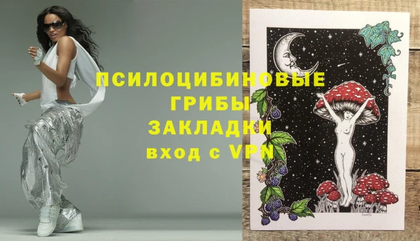 ПСИЛОЦИБИНОВЫЕ ГРИБЫ Аркадак