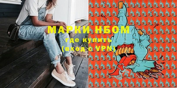 индика Армянск