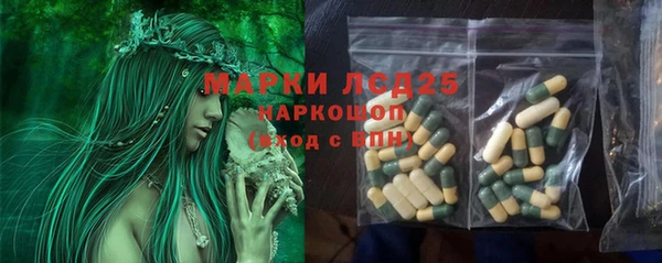 spice Арсеньев